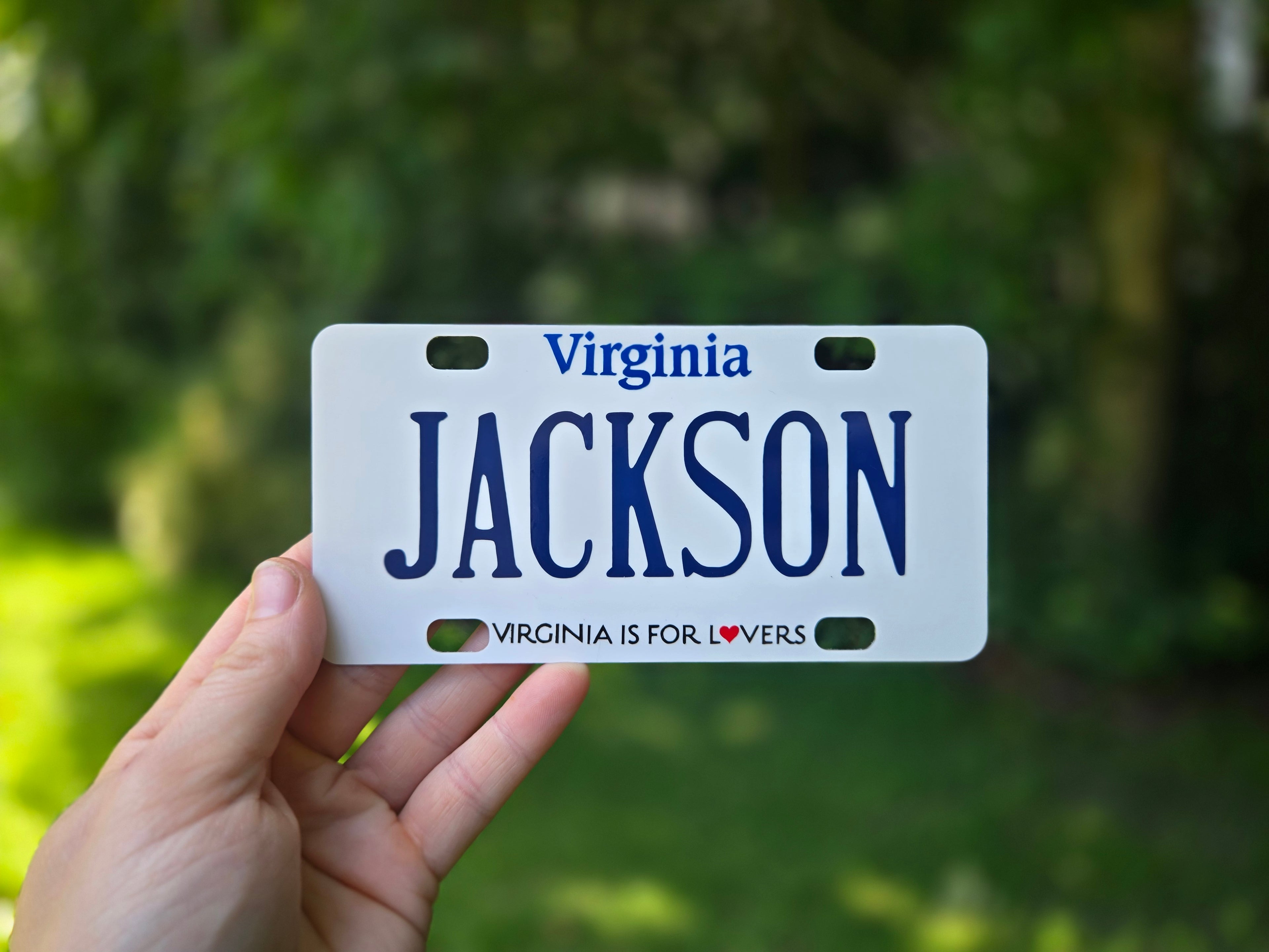 Mini License Plate