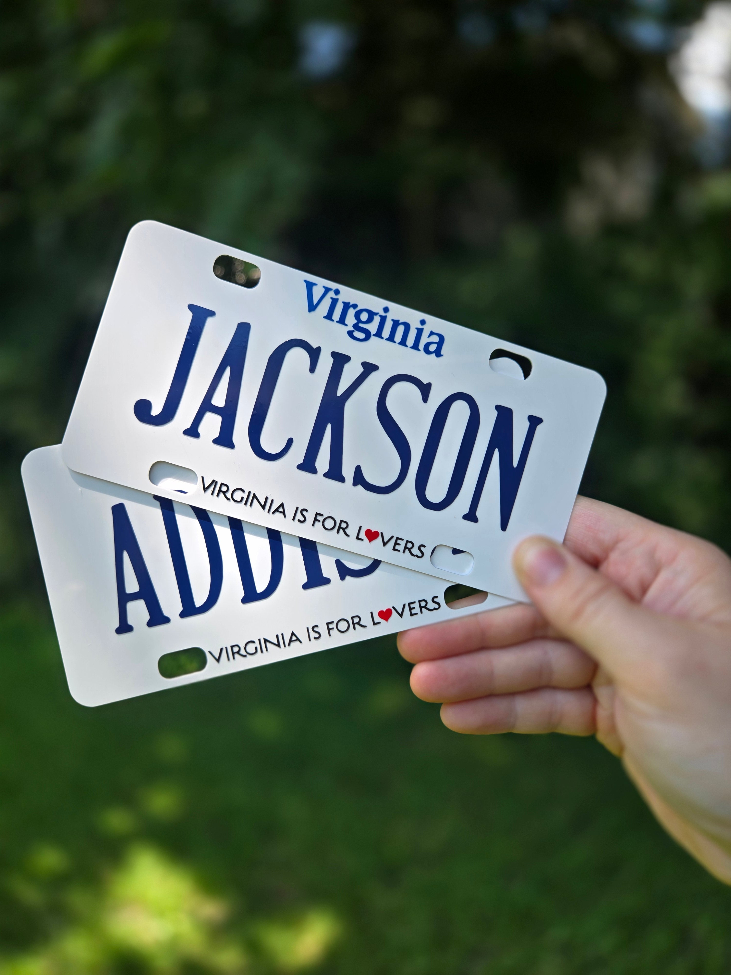 Mini License Plate